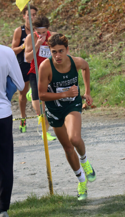 Four local runners earn state medals at PIAA cross country ...